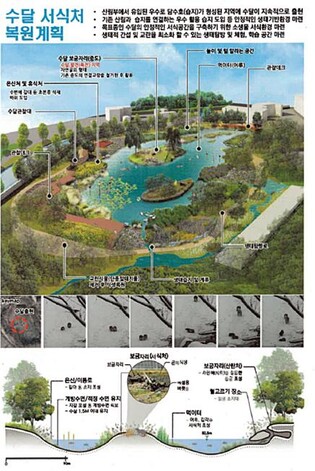 가평군, 멸종위기 수달 서식지 복원한다