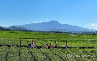 [줌in제주] "코로나19 지나도 변한 게 없다"…잃어버린 제주관광 4년