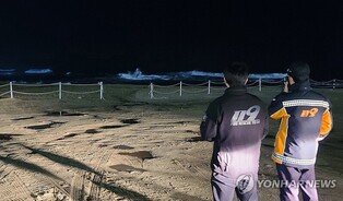 (4th LD) Small tsunamis hit S. Korea after earthquake in Japan