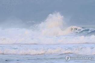 85-cm tsunami observed at S. Korea's east coast following Japan's earthquake