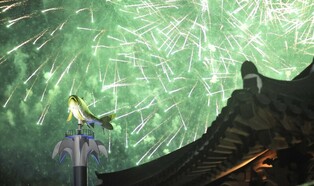 [#핫플콕콕] 여름은 토마토, 겨울엔 산천어…강원 축제 일번지 화천