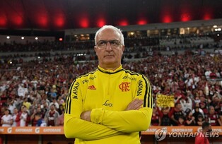 브라질 축구 대표팀 사령탑에 주니오르 상파울루 감독 내정