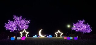 관광명소로 탈바꿈한 사천 용두공원…편백숲 정비·빛 공원 조성