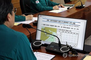 S. Korea considering support measures for safe passage in Red Sea