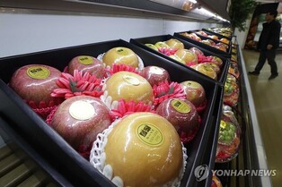 사과 등 설 성수품 공급 1.6배로 확대…농축산물 할인 지원