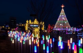 "설 연휴에도 빛의 향연 즐기세요" 세종 빛조형물 연장 운영