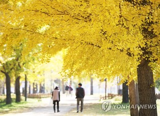 여주 남한강 강천섬에 캠핑장 조성…8월부터 운영