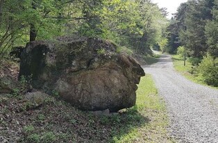 1년에 한 번 열리는 광릉숲, 올해는 9월 28∼29일 개방