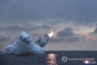 N. Korea conducts another cruise missile launch: JCS