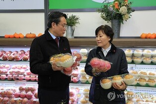 농식품·해수장관, 설 성수품 수급점검…"물가안정에 총력"