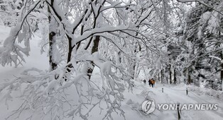 강원 지난해 방문객 소폭 감소…코로나19 이전 수준은 회복