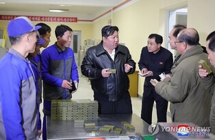 N. Korean leader berates officials during visit to provincial factories