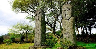 '청룡의 해' 제주서 소원 빌고 꽃구경에 식도락까지 어때요?