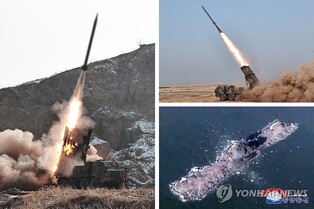 N. Korea says it newly developed shells for multiple rocket launcher