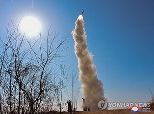 (LEAD) N. Korea fires several cruise missiles off east coast: JCS