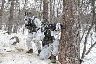 S. Korean, U.S. Marines stage joint wintertime drills