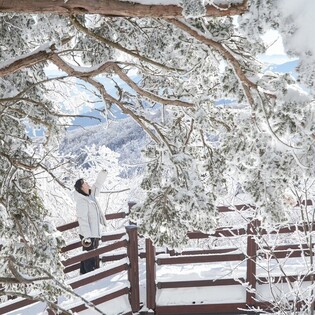 평창군, 모나 용평리조트와 '2024 여행가는 달' 협업 캠페인