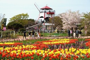 태안 세계튤립꽃박람회 관람객 500만명 돌파…군민 50% 할인