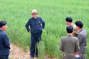 N. Korea's premier calls for enhancing irrigation amid food shortages