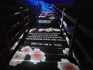 빛으로 만든 서정시…사천 노산공원, 야간관광 콘텐츠 선보인다