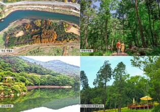 전남도, '5월의 힐링' 피톤치드 가득한 숲 4곳 추천