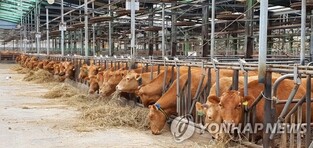 구워도 삶아도 맛난 우리 한우… 김해서 제1회 한우축제 연다