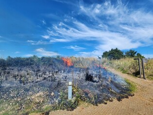 제주 섭지코지 산책로서 화재…야초지 1천322㎡ 불타