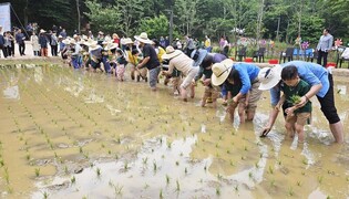 울산 입화산 유아숲체험원 개장…"논·밭농사해보세요"