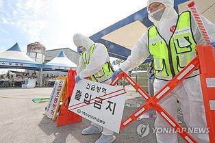 S. Korea reports first African swine fever case in around 9 months
