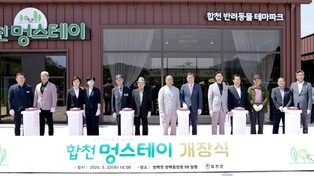 반려동물 친화 관광지 '합천 멍스테이' 개장…"새 관광지 기대"