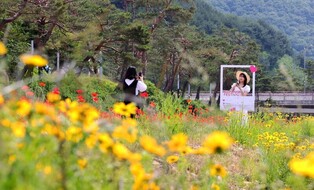 '괴산을 핫하게' 빨간 맛 페스티벌 24일 팡파르