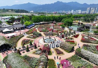 곡성 세계장미축제에 열흘간 24만명 방문…입장수익 10억여원