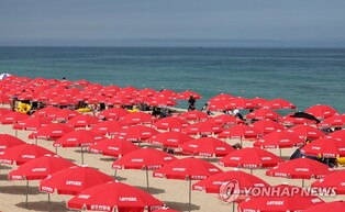 "여름아, 반갑다" 경포 등 동해안 해수욕장, 29일부터 개장