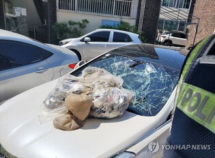 PPP to push for law revision to compensate for damage caused by N.K. trash balloons