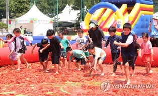 '토마토에 붉게 물들다'…경기 광주서 14~16일 토마토축제