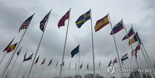 Hybrid threats, economic coercion, other challenges drive NATO-S. Korea engagement: expert