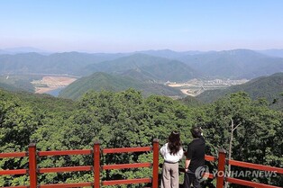 인제 도심과 내린천을 한눈에…박달고치 숲길 전망대 조성