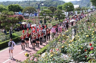 삼척 장미축제 성공 평가…만족도 94%·재방문 의사 96%