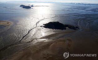 '바닷새와 인간의 공존'…서천 갯벌 관리기본계획 마련