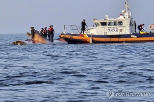 Two Chinese sailors booked over fishing boat crash off southwestern coast