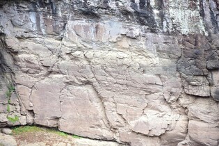 반구대 암각화 속 고래와 석굴암 섬세한 조각…사진 403장 공개