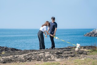 [여행honey] 반려견들 전용기 타고 제주도로 "멍멍∼ 신나는 여행"
