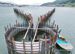'뜰채질 한 번에 수백마리 은빛 멸치'…500년 전통 남해 죽방렴