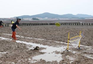 '갯벌로 풍덩∼ 더위야 가라∼' 무안 황토갯벌 축제 막 올라
