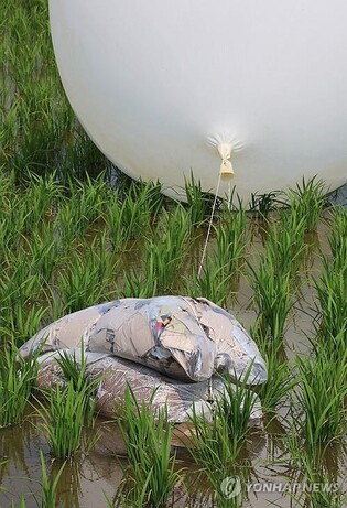 S. Korea says parasites detected in trash-filled balloons from N. Korea