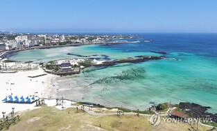 컨슈머인사이트 "제주 여행 관심도·점유율 7년 만에 최저"