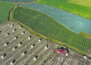 No. of households moving to rural areas falls for 2nd year in 2023