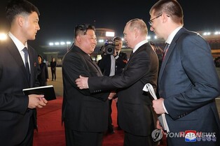 Russia's deputy FM hopes S. Korea 'calmly' accepts treaty with N. Korea