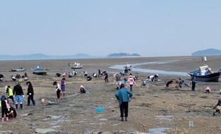 서산 중리어촌체험마을, 7월 가볼 만한 곳에 선정