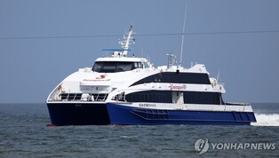 강원∼울릉도 이용객 24.2% 감소…"안정 운항 대형여객선 없어"